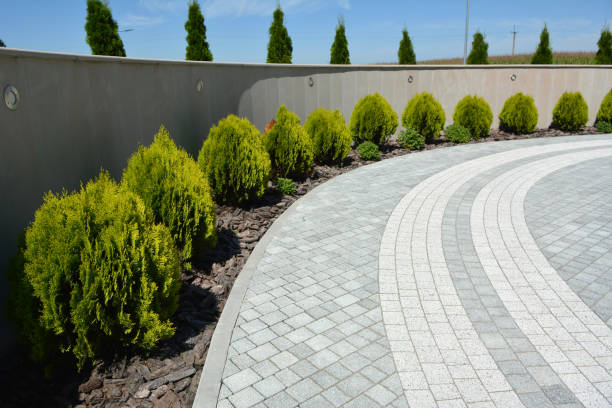 Best Gravel Driveway Installation in Cheltenham Village, PA